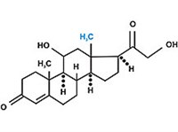 Кортикостерон
