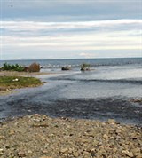 Корякия (устье реки Оссора)