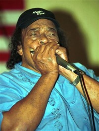 Коттон Джеймс (концерт)