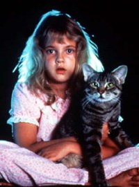 Кошачий глаз