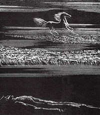 Красаускас Стасис (Конь)