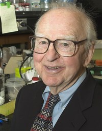 Кребс Эдвин (июль 2007 года)