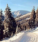 Крконоше (дорога в горы)