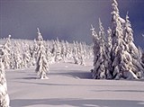 Крконоше (после снегопада)