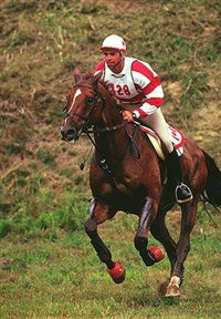 Кросс (конный)