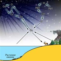 Круговорот веществ (биогеохимический цикл кислорода)