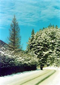 Крыница-Здруй