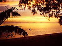 Кука острова (вечер)