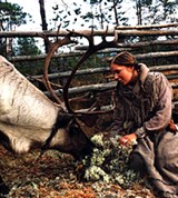 Кукушка (С оленем)