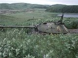 Кунашир (Танк, вкопанный в землю)
