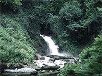 Курильский заповедник (горная речка)