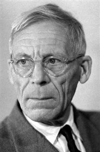 ЛЕОНТОВИЧ Михаил Александрович (портрет)