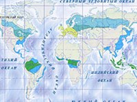 ЛЕС (сообщества, географическая карта)