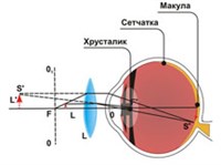 ЛУПА (схема)