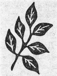 Лавр (символ)