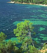 Лазурный берег (Франция)