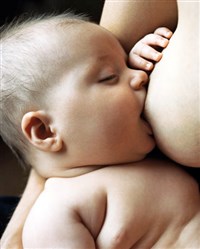 Лактация (кормление)