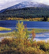 Лапландия (летом)