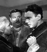 Летят журавли (кадр из фильма)