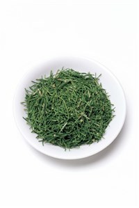 Лечебные сборы при заболеваниях почек и мочевыводящих путей (хвощ)