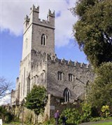 Лимерик (собор св. Марии)