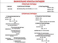Липиды (классы)
