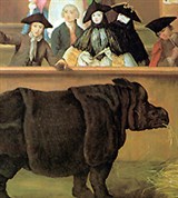 Лонги Пьетро (Носорог)