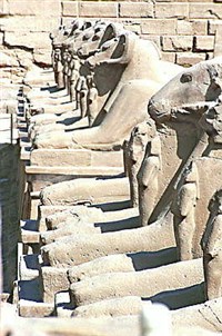 Луксор (Аллея сфинксов)