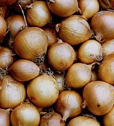 Лук (репчатый)