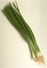 Лук репчатый (3)