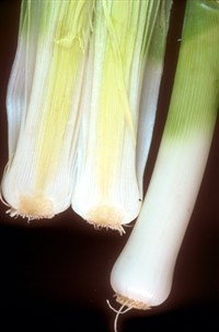 Лук-порей (1)