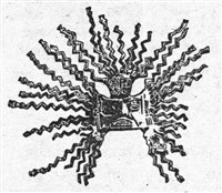 Лучи (символ)