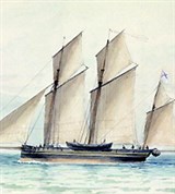 Люгер (рисунок Л.Ф. Лагорио)