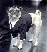 Люди в черном-2 (собака в черном)