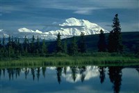 МАК-КИНЛИ (Вид из Кэмп Денали)