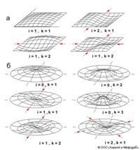 МЕМБРАНА (колебания)
