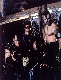 МИСФИТС (группа)