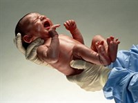 МЫШЦЫ И КОЖА НОВОРОЖДЕННОГО (малыш)