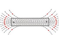 Магнитный полюс