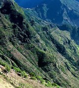 Мадейра (горные склоны)