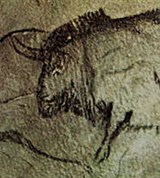 Мадленская культура (бизон)