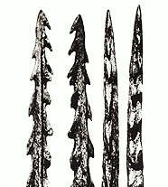 Мадленская культура (гарпун)