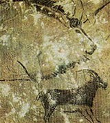 Мадленская культура (животные)