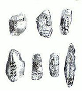 Мадленская культура (орудия)