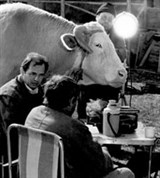 Майоров Александр Васильевич