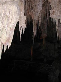 Мамонтова пещера