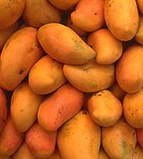 Манго (плоды)