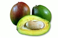 Манго [кулинария]