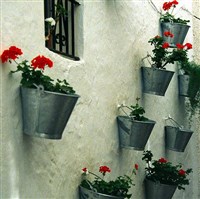 Марбелья (украшенные дома)