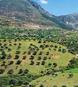 Марокко (горный массив)